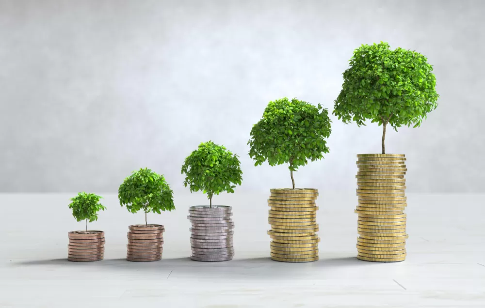 Kitco: Lider Global în Analiza și Tranzacționarea Metalelor Prețioase Kitco: Lider Global în Analiza și Tranzacționarea Metalelor Prețioase